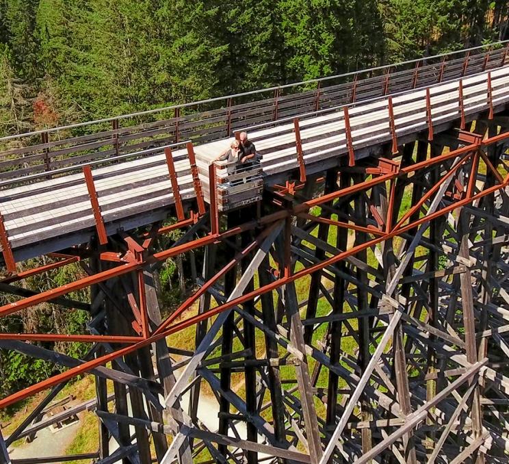 An aerial view of the Kinsol Trestle just outside of Victoria, BC