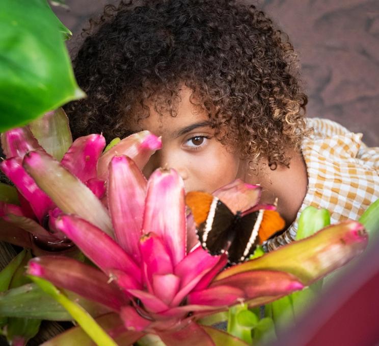 A young girl examines a butterfly on a pink flower at the Victoria Butterfly Gardens in Victoria, BC