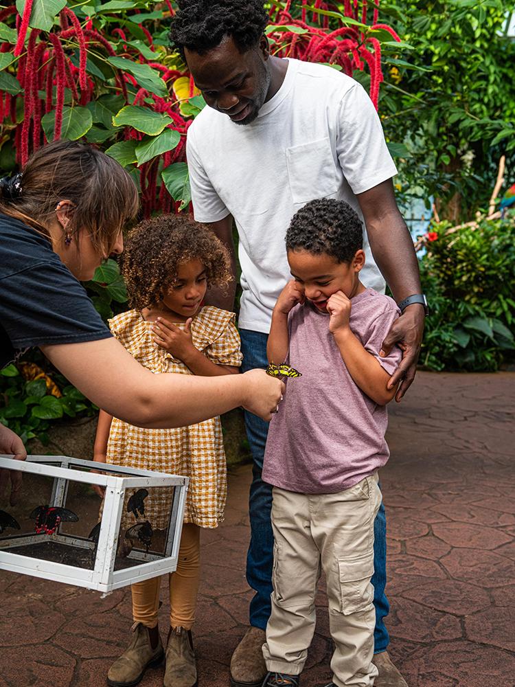 Two children meet a butterfly at the Victoria Butterfly Gardens in Victoria, BC