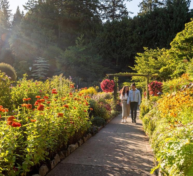 A couple walks through the rose garden at The Butchart Gardens in Victoria, BC