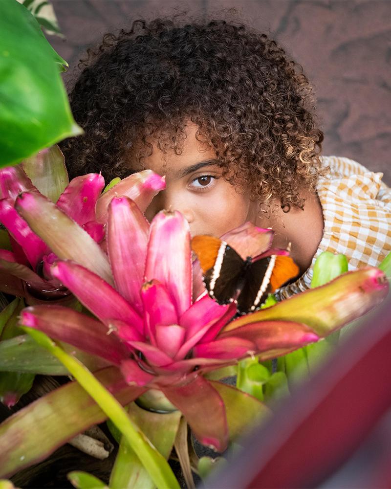 A young girl looks at a butterfly in the Victoria Butterfly Gardens in Victoria, BC