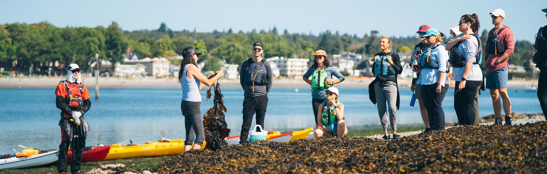 A group of conferences delegates on a kayaking tour learns about local seaweed in Victoria, BC