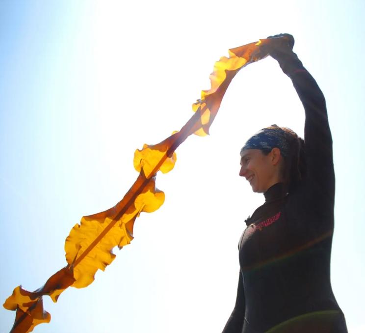 A guide from Dakini Tidal Wilds shows off a strand of seaweed in Victoria, BC