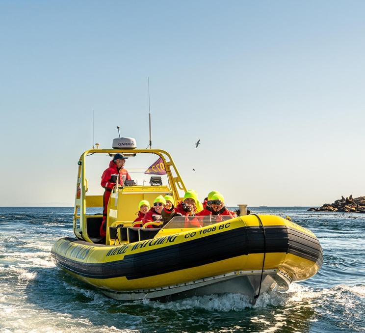 A zodiac whale watching tour explores the Salish Sea off the coast of Victoria, BC