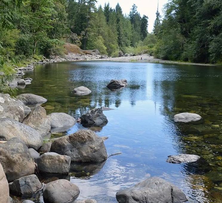 A view down the Sooke River at Sooke Potholes Regional Park in Victoria, BC