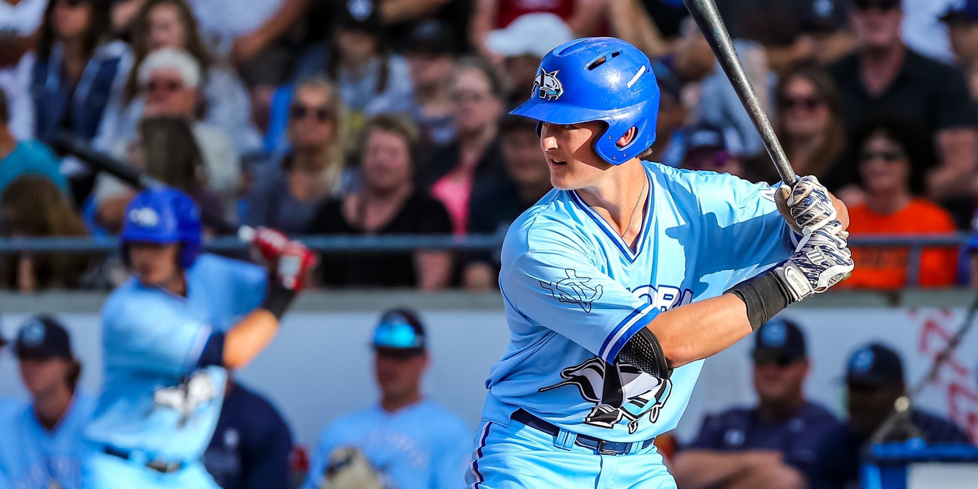 Victoria Harbourcats