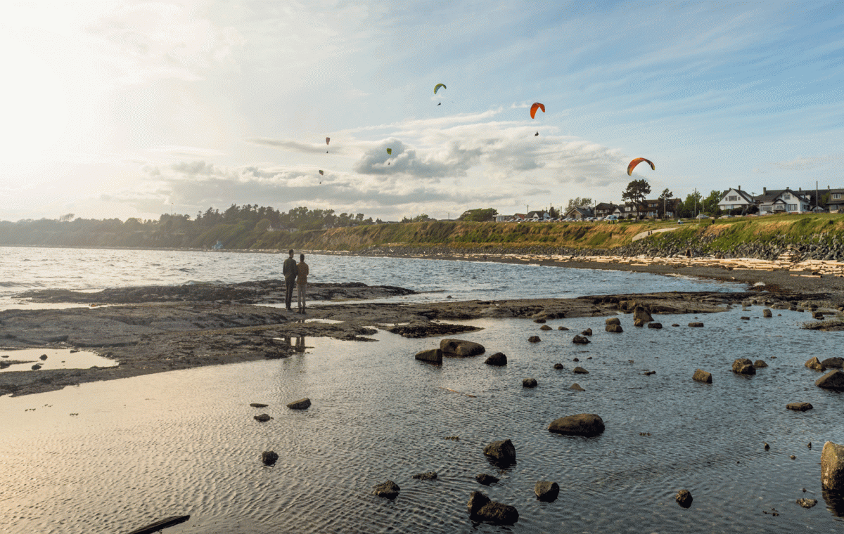 people walking on the beach