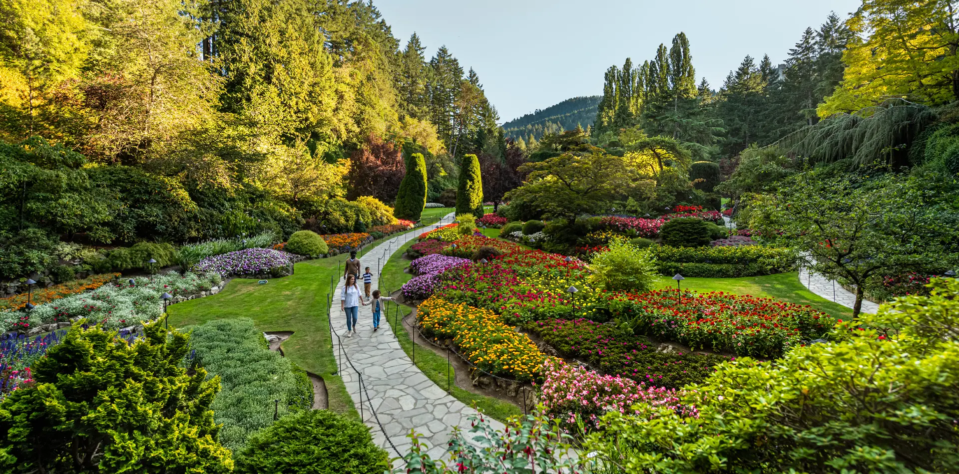 garden with a path