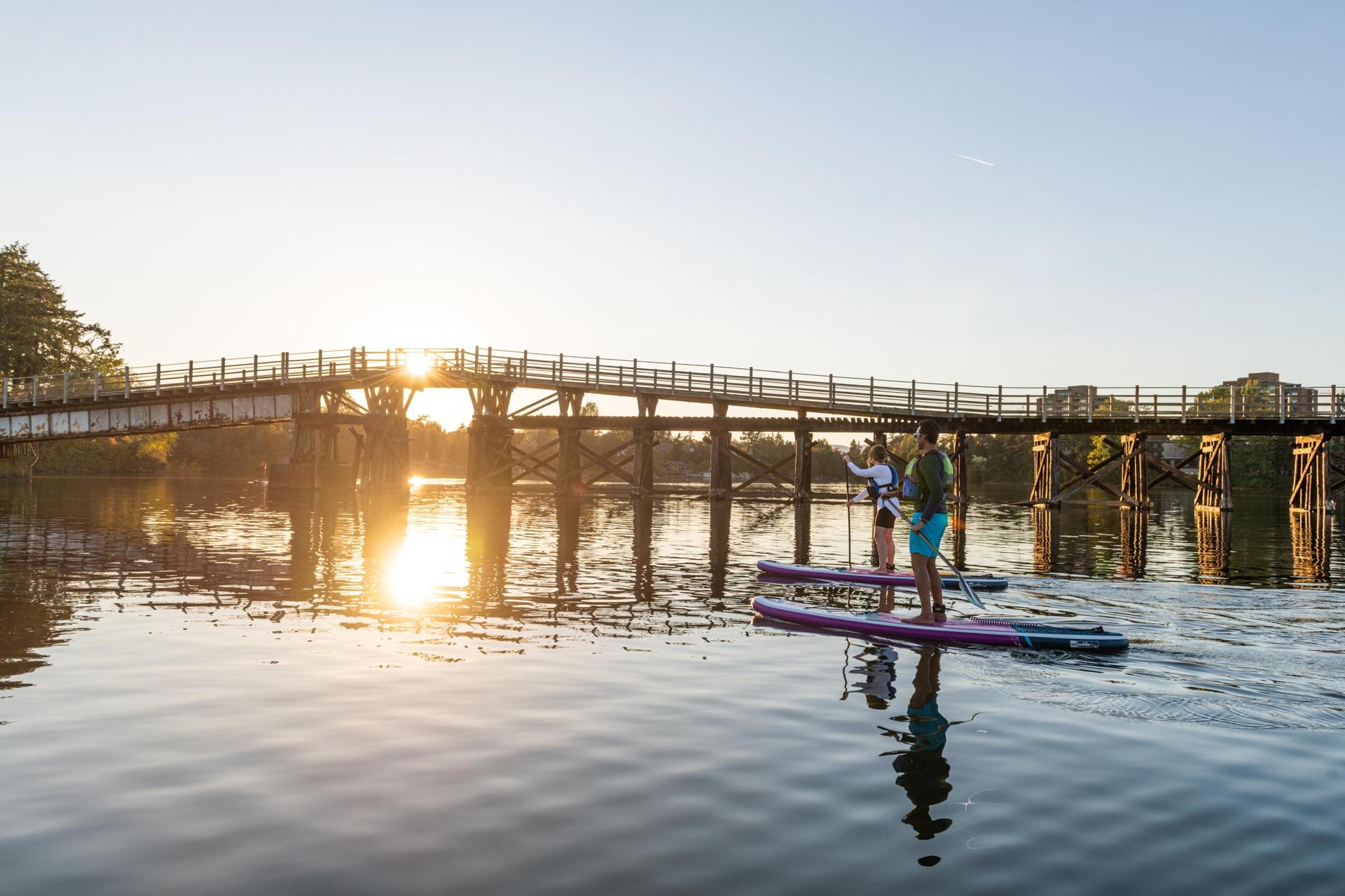 Paddleboarders travel along the Gorge Waterway in Victoria, BC