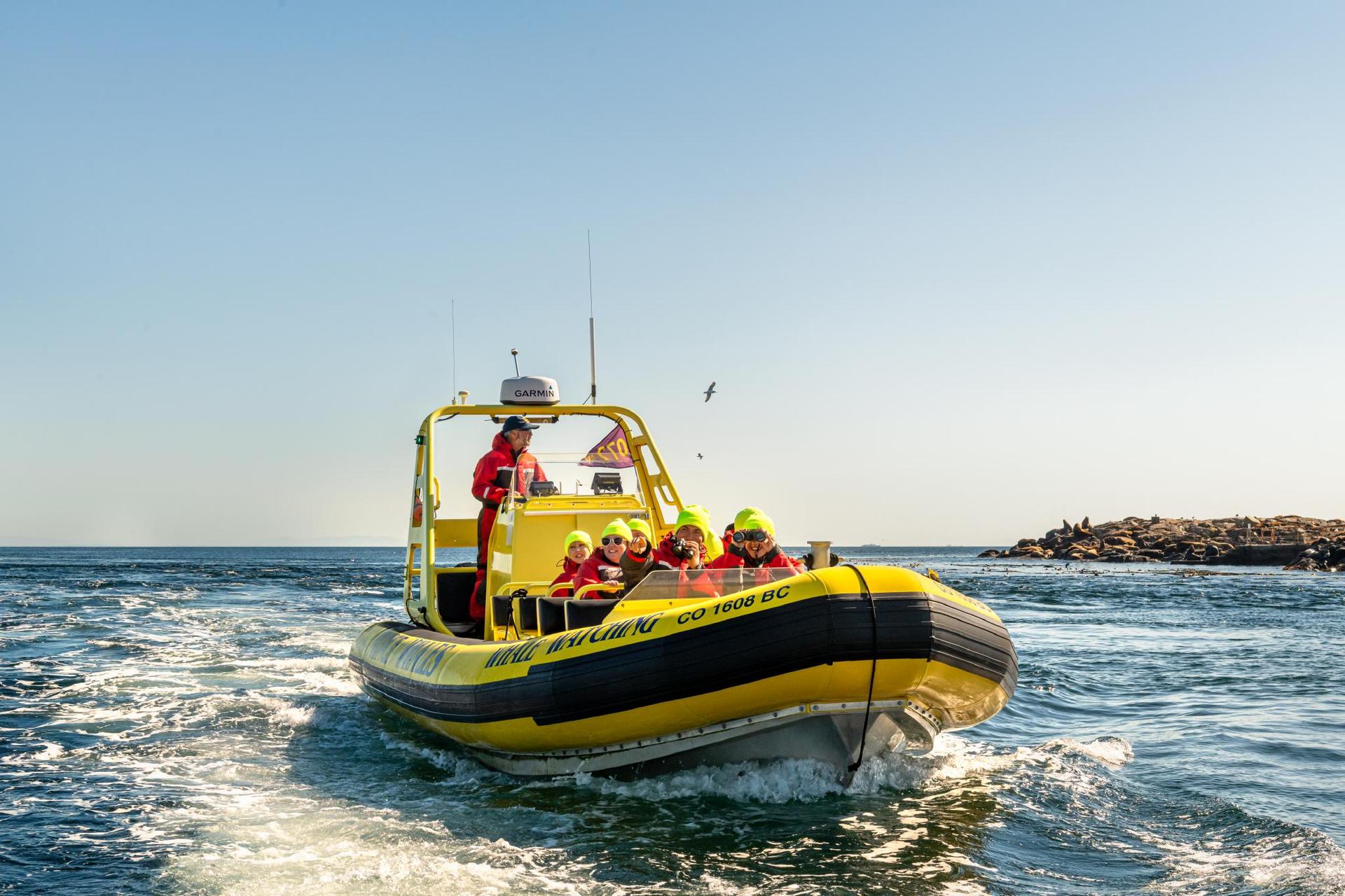 A group of whale watchers wearing flotation jackets ride a yellow zodiac across the Salish Sea near the Race Rocks Ecological Preserve off the coast of Victoria, BC