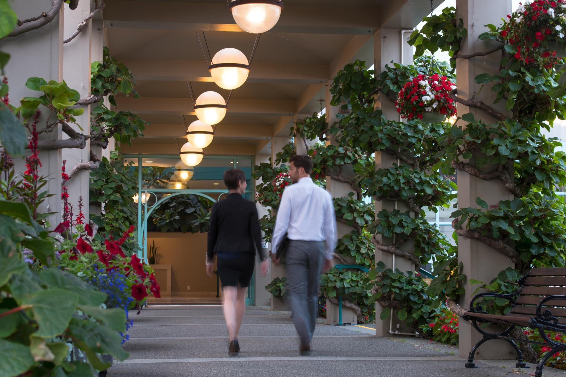A pair of professionals walk through an outdoor space wrapped in vines at the Victoria Conference Centre in Victoria, BC