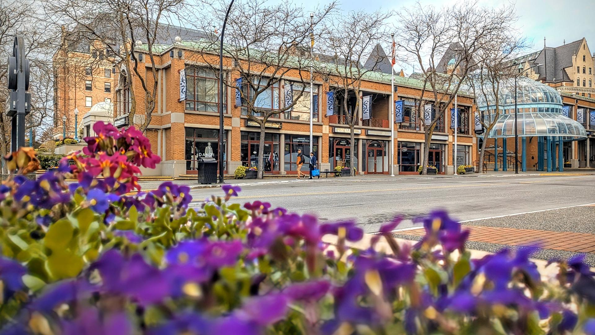 A view of the shops at the Victoria Conference Centre from behind a flower bed at Crystal Garden in Victoria, BC