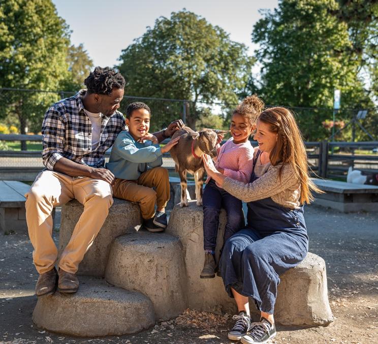 A young family sits and pets a goat at the Beacon Hill Children's Farm in Victoria, BC