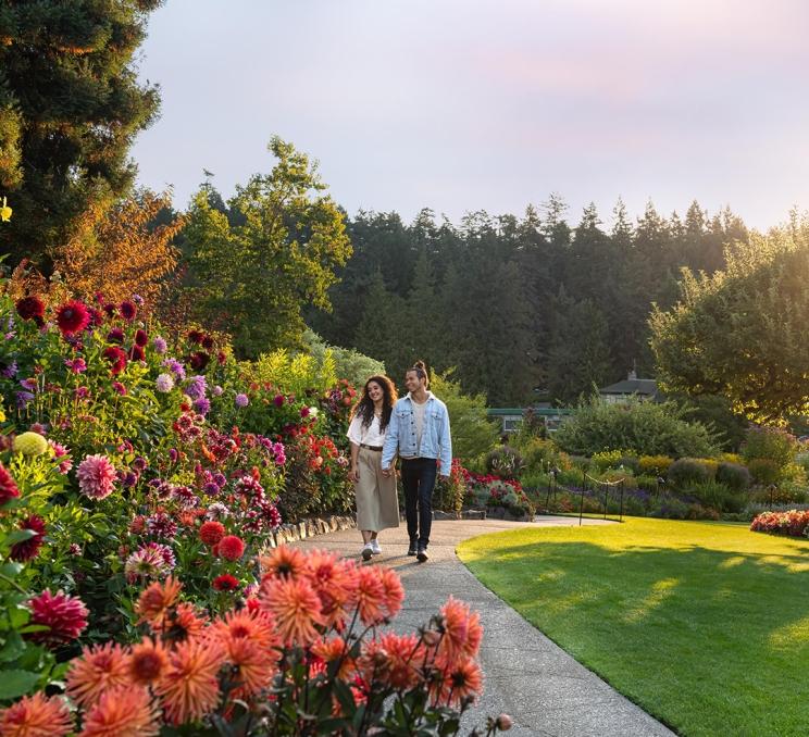 A young couple walks hand-in-hand along a pathway at the Butchart Gardens as a bed of flowers lays in the foreground in Victoria, BC