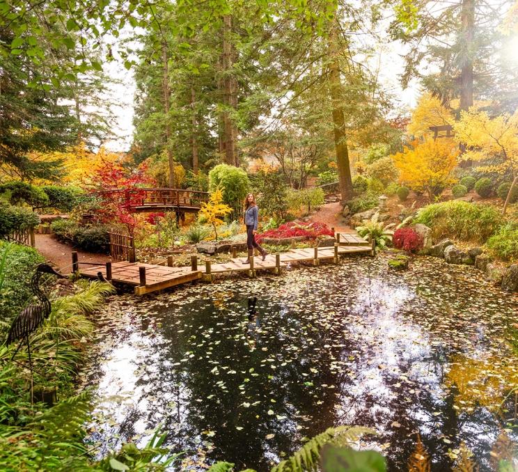 A woman walks along a bridge over a pond during the fall as autumn leaves lay on the water at the Gardens at HCP in Victoria, BC