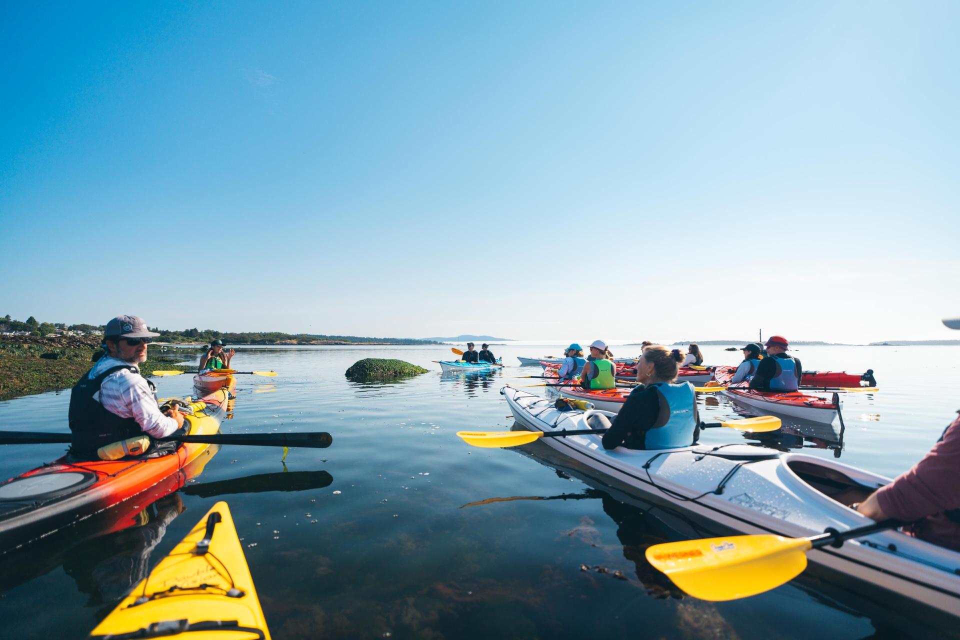 A group of kayakers engage in a workshop while on the water of the Salish Sea in Victoria, BC