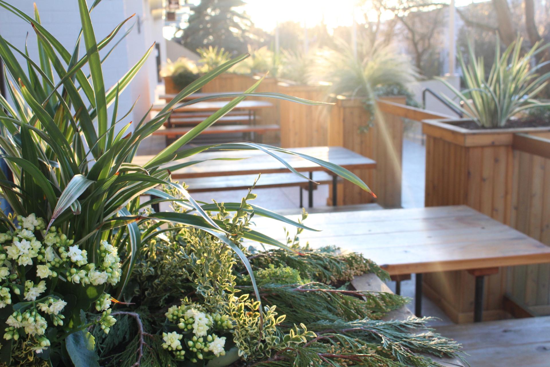 Come and hang out on our beautiful patio!