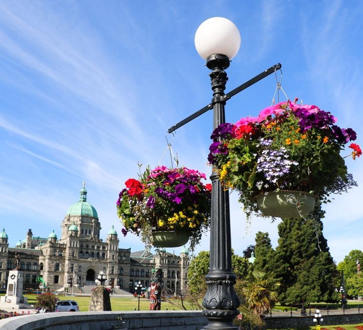 Floral hanging baskets along the Upper Causeway of Victoria's Inner Harbour with the BC Parliament Buildings in the background
