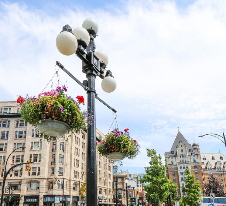 Hanging baskets line Wharf Street along Victoria, BC's Inner Harbour