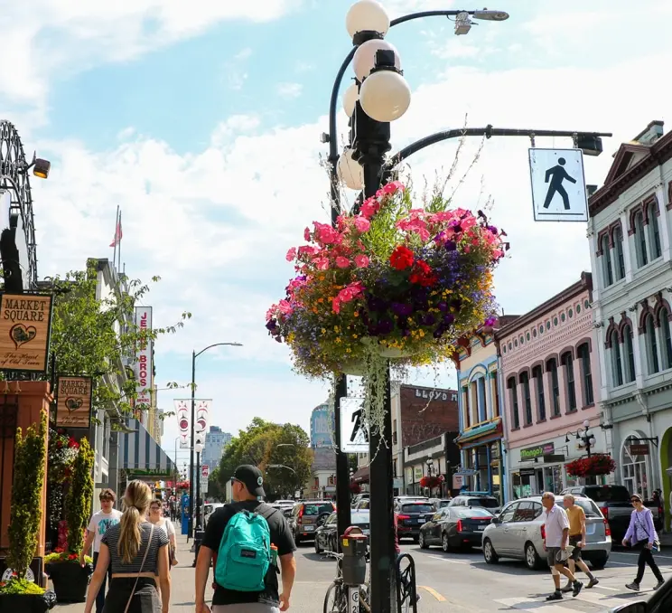 Floral hanging baskets on Lower Johnson Street in Victoria, BC just outside of Market Square