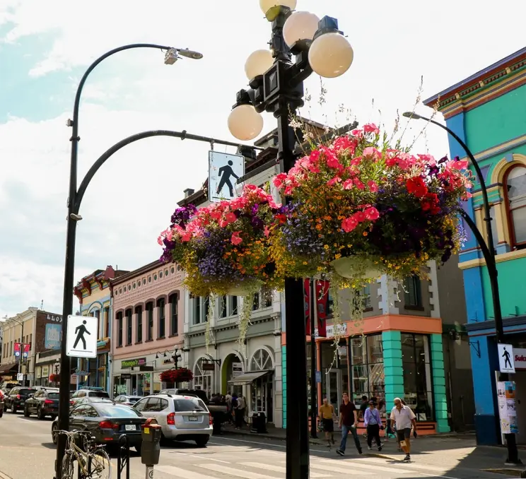 Floral hanging baskets line Lower Johnson Street in Victoria, BC